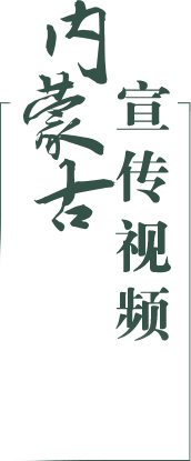 !{selfName} 